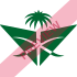 SVA