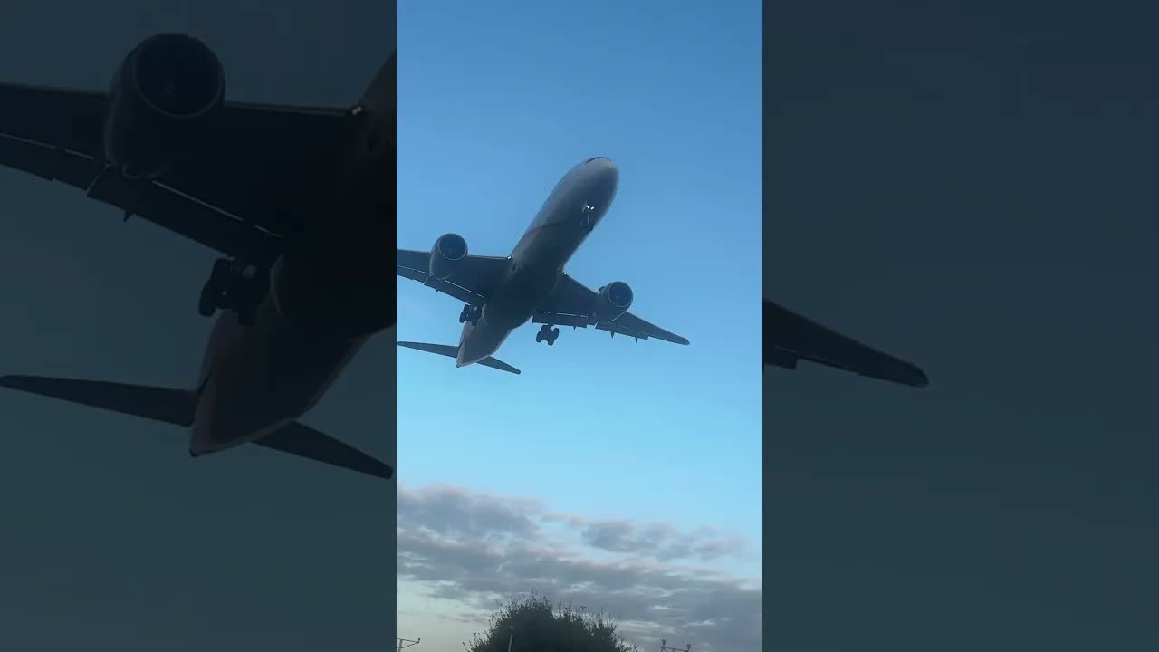 Heathrow arrivals