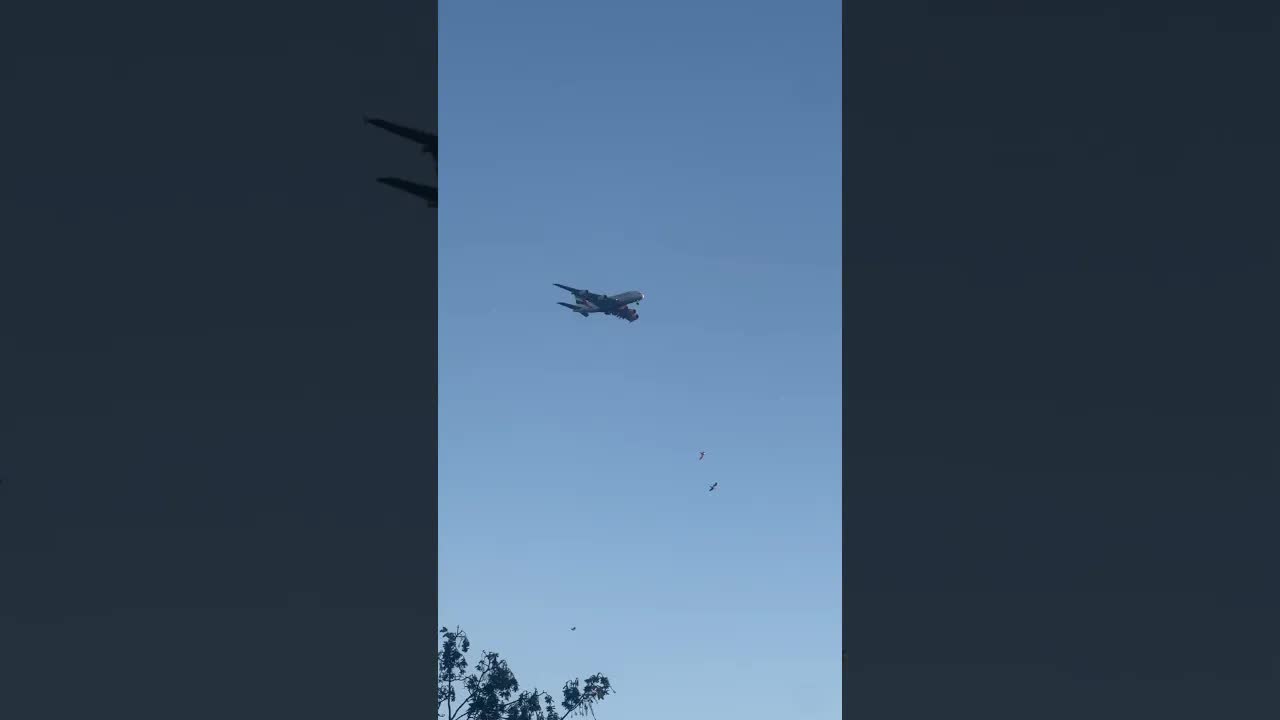 A380 PLANE SPOTTING WHILE IN WORK. iphone . #london #avaition #airbus