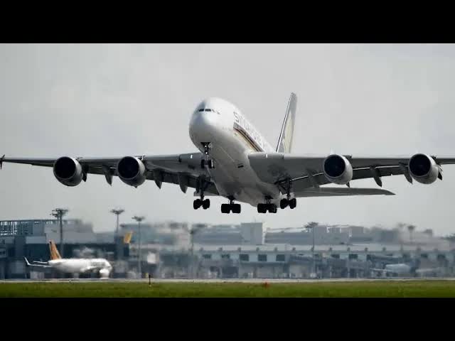 Huge Planes soaring into land at Europe’s biggest airport Heathrow 🇬🇧