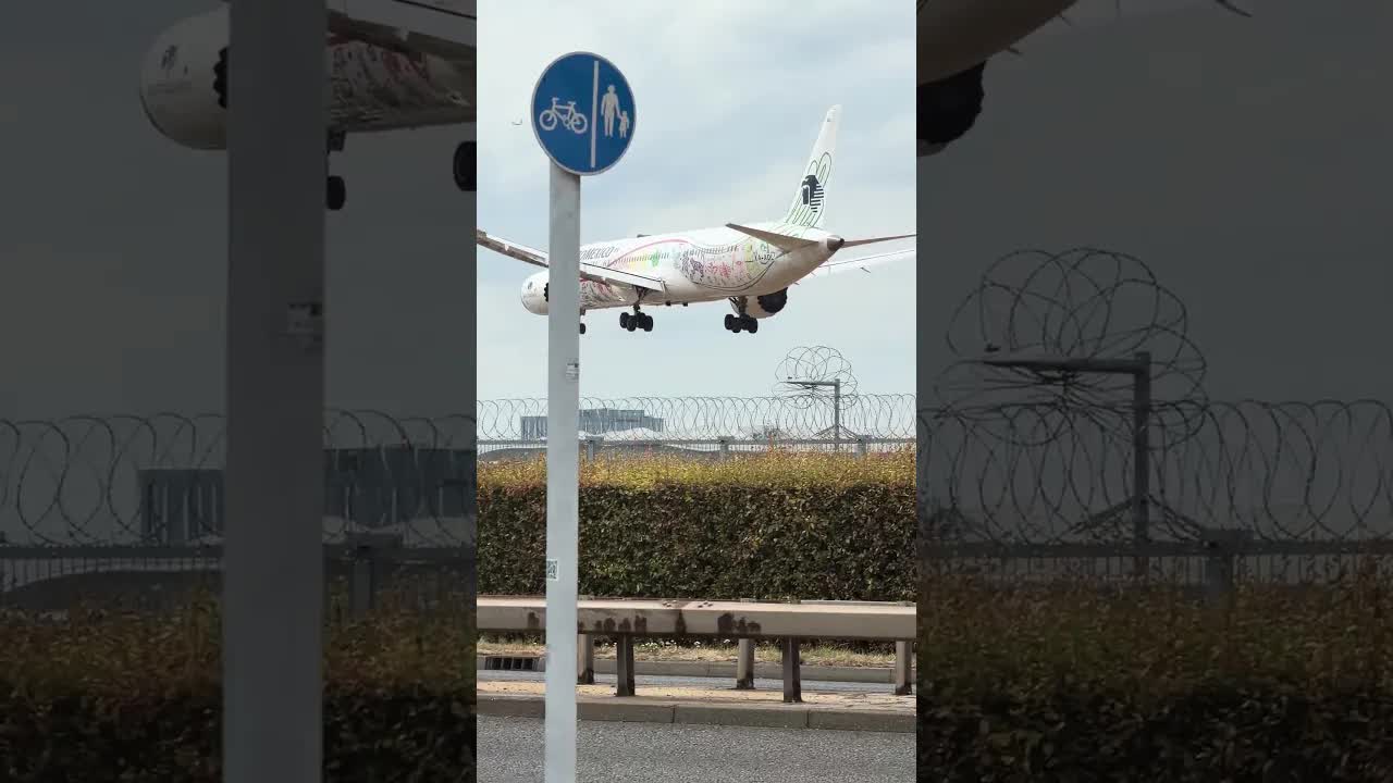 Air Mexico 787 livery is fire #heathrow #olanespotting
